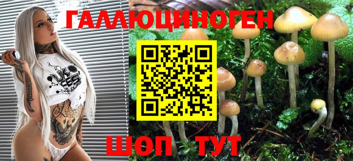 Галлюциногенные грибы Psilocybe  Вход с VPN  Элиста 